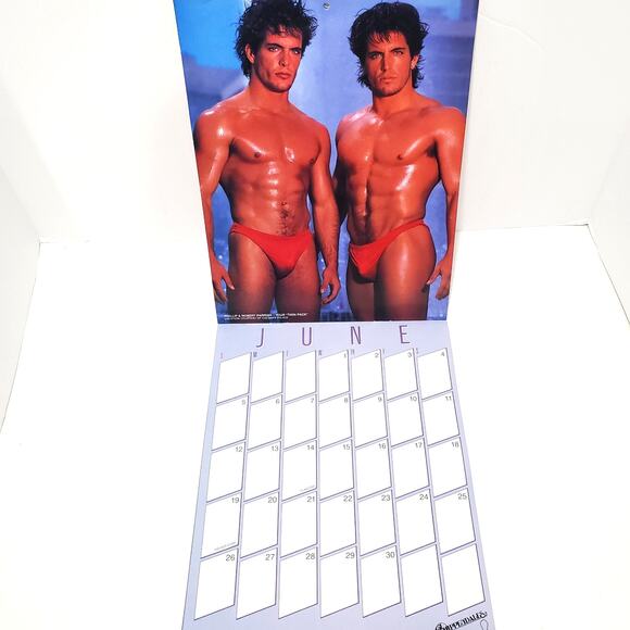 Vtg 1988 CHIPPENDALES Fantasy Wall Calendar 11" x 9" - Picture 7 of 11